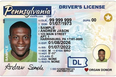 Driver licensing 